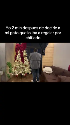 Y esto es todos los dias🫣 #fyp #gato #parati #2025