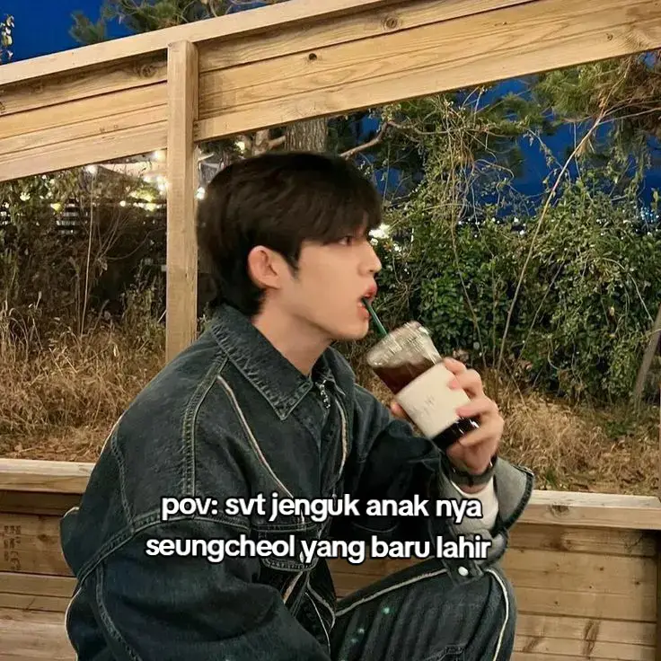 #povsvt #seventeenpov #fyp #foryoupage #4u 