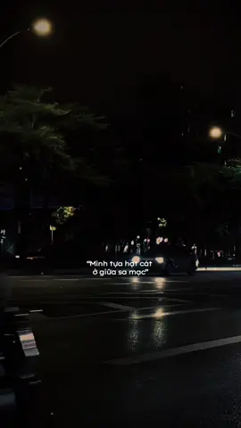 Mình tựa hạt cát ở giữa sa mạc… #nhachaymoingay #tamtrang #xuhuong2025 #sbtentertainment #1992 