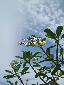 MAG CHECK OUT KANA #GREATWALL #fyp #foryou #wireless #EARBUDS 