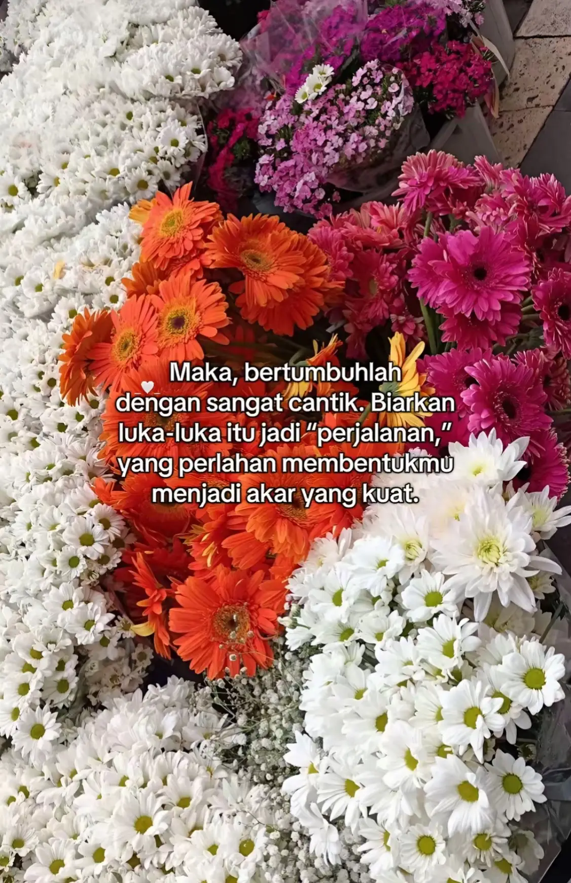 #fyppppppppppppppppppppppp 