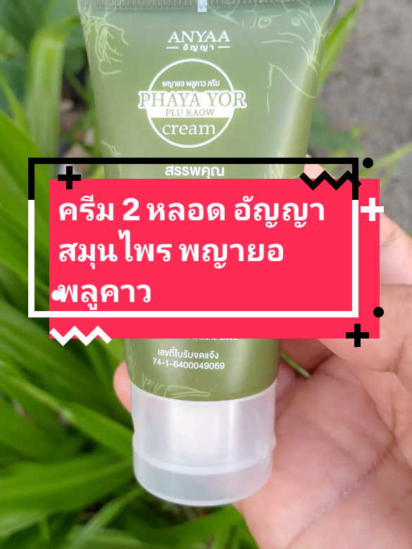 #ครีม 2 หลอด อัญญา สมุนไพร พญายอ พลูคาว#ครีมสมุนไพร #สมุนไพรอัญญาพญายอพลูคาว #สมุนไพร #tiktokป้ายยาของใช้ 