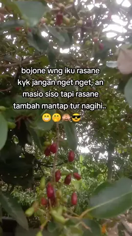 kyk jangan lodeh...  🤭