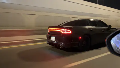 🫵🏻🖤 . #دوج #تشارجر #like #ترند #هبد 