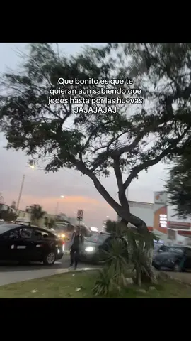 #fyp #fyppppppppppppppppppppppp #xybca 