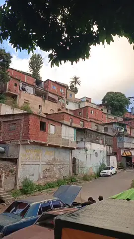 #danieleldelassdjuntas #daniel #vamoscontodo #lasadjuntas❣️ #salsabaul 