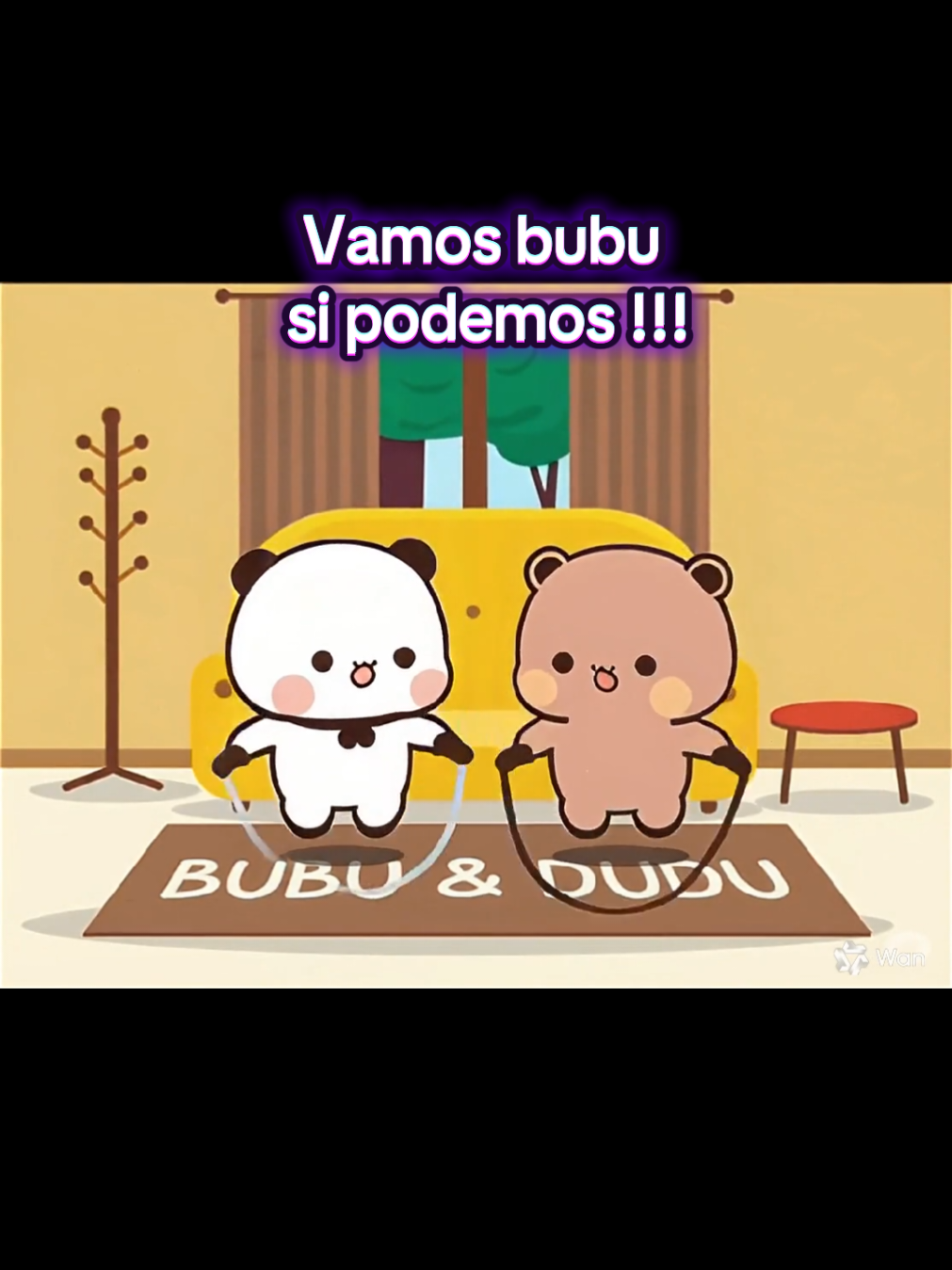 Bubu y dudu haciendo ejercicio. #bubu #bubududu #dudububulove #dudububu #dudu 