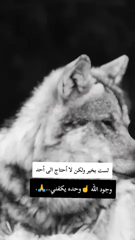 #fyp #F #f #شعب_الصيني_ماله_حل😂😂 #ابوني_ياك_باطل_ولا_حنا_مانستاهلوش 