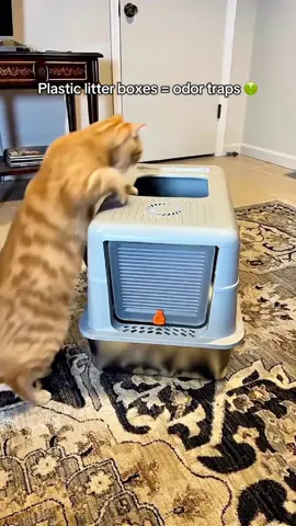 I don’t know why we all keep buying plastic litter boxes when they trap odor, scratch up, and start smelling awful so fast. This one is stainless steel, so it doesn’t hold smell, it wipes clean, it has a built-in filter, and the top-entry lid actually catches litter from your cat’s paws. It even comes with anti-slip stickies so it doesn’t slide around. If your cat’s litter box always smells or makes a mess… this is the upgrade. #tiktokshopblackfriday #c#catlitterboxc#catownersp#petcleaninghackscatmomlife