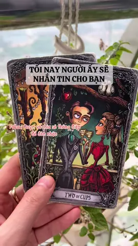 #quyntarot #tarotreader #thongdiepvutru 