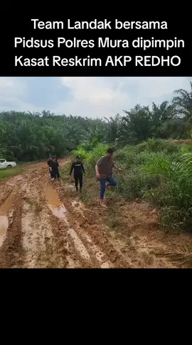 Team Landak bersama unit Pid Sus Polres Mura dipimpin oleh Kasat Reskrim AKP REDHO laksanakan giat penegakan hukum di wil Muara lakitan #teamlandak #buser #resmob #jatanras #polresmura 