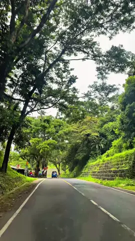 Cianjur gapernah kalah kalo soal view😍  #cianjurjawabarat #cianjurexplore #cugenangcianjur #pesona #fypシ 