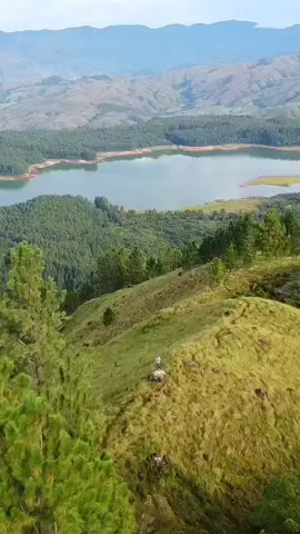 MI PANAMÁ 🇵🇦   hermosa 💖  #amorsagrado 