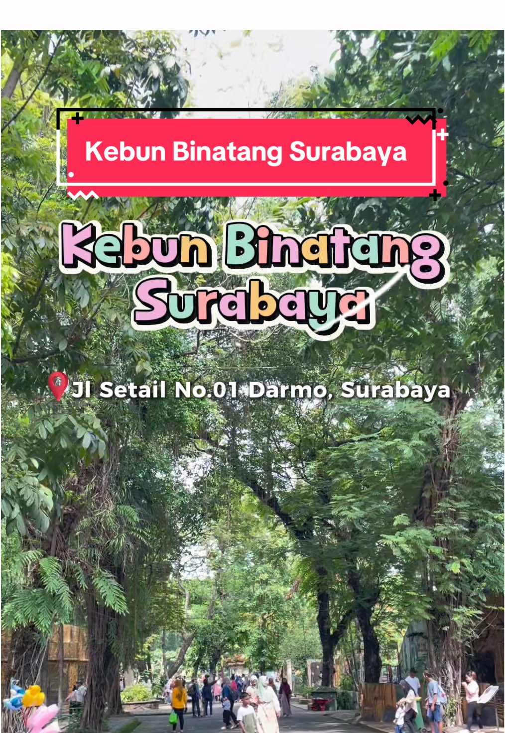 Liburan dipusat kota? Kebun Binatang Surabaya solusinya 🐒 Nginepnya pastinya di Sans Hotel Box Mansion Surabaya 🏨 dan ga lupa pakai kode promo 