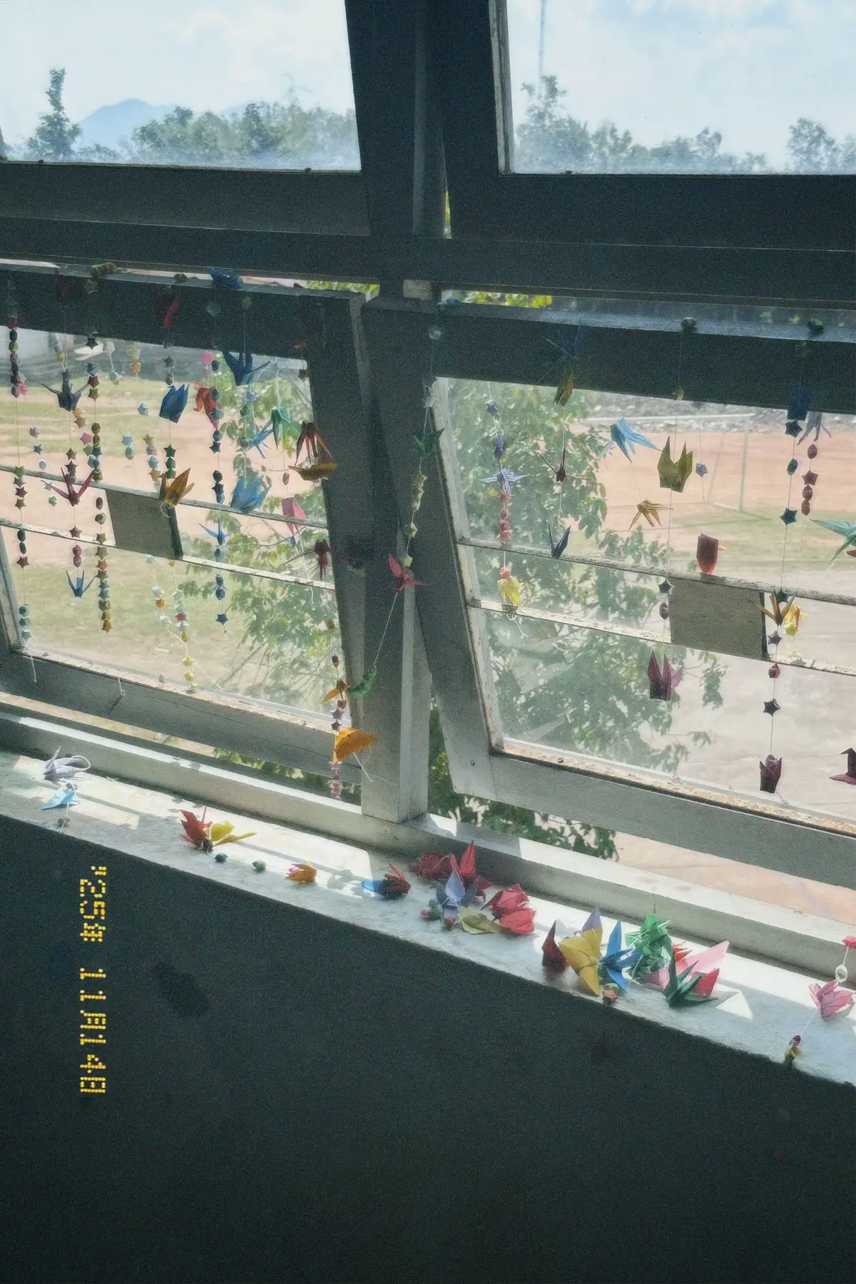 liệu có được hai trem trịu 🤗 #20thang11 #a5nguyendu #viral #cuoicap 