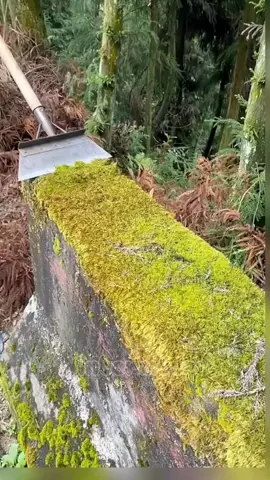 perhatian semuanya,, tolong di hindari tidur di atas jam 10,, berbahaya #fakta #hiburan #fypシ #asmr #oddysatifying #jokes 