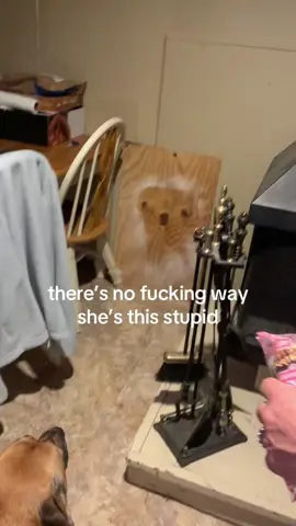 idiot dog i love my idiot dog Gondi miss her i hope she’s smart now #dog #pets #silly #f #fyp 