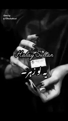 🤣The Best duo🤭#tiktokviralvideo #bakht #novelesticgirl📚 #novel #tiktok  Bakht,umarhayat,halaysultan. 