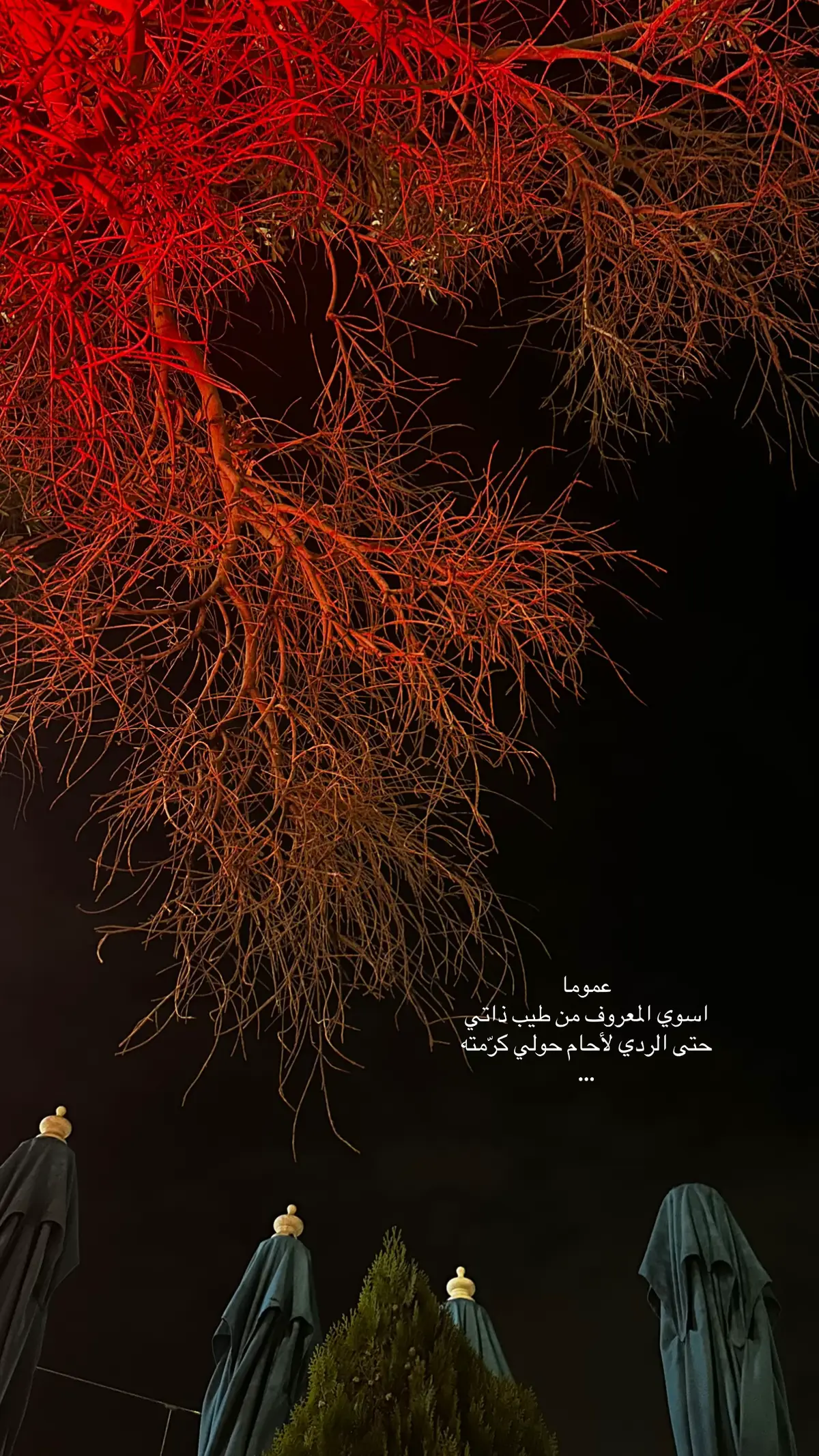 مشاعر حقيقيه 🥹❣️#لايككككككككككككككك #اكسبلورexplore #ابها_خميس_مشيط #جازان .