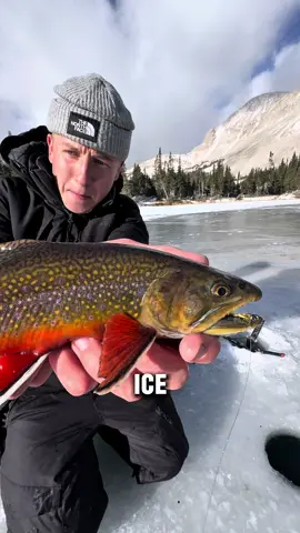 Ice Fishing in the Mountains! ❄️ #fishing #icefishing #brooktrout #fishinglife #fishtok 