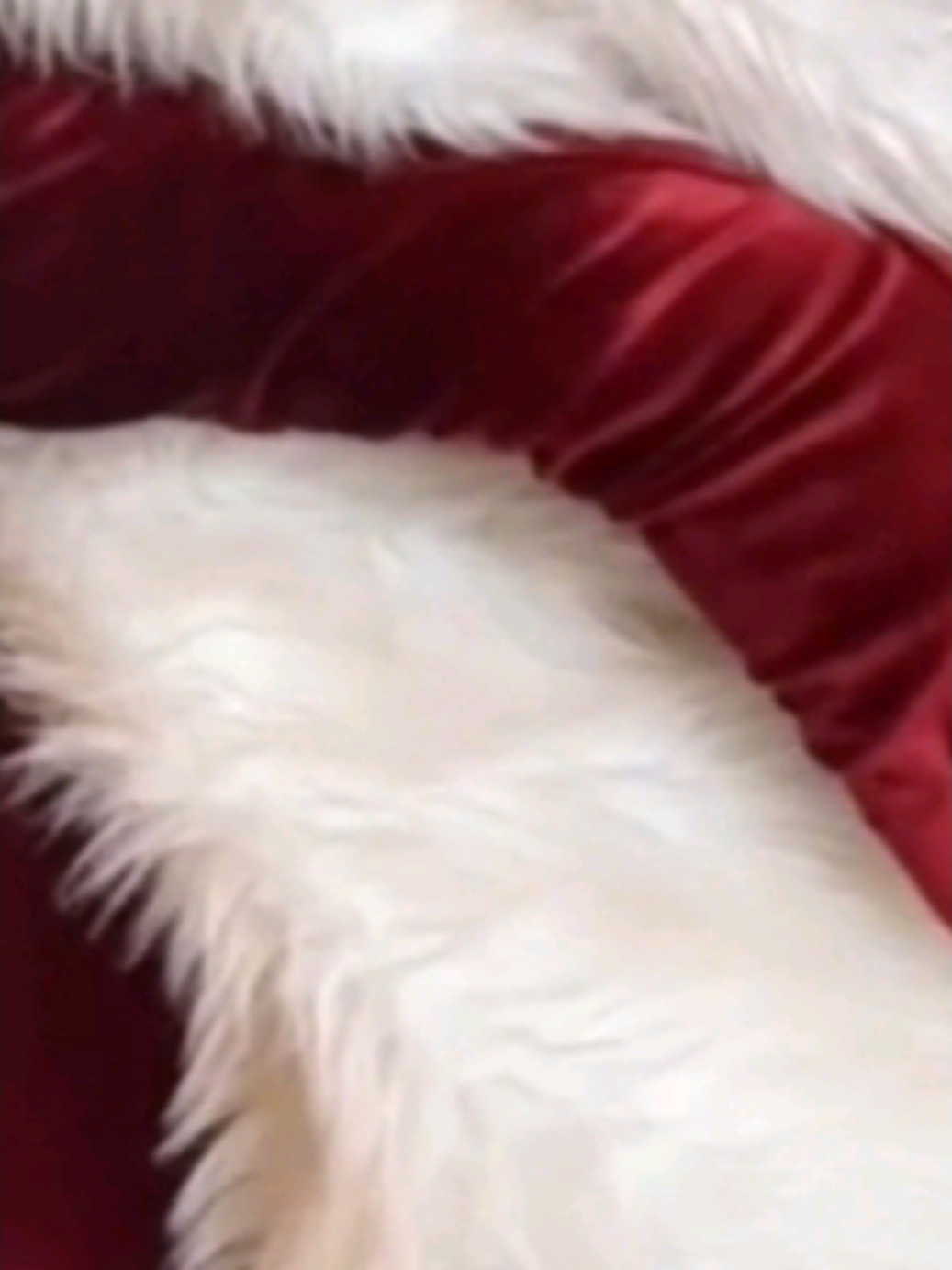 Cantik nya gk ngebosenin 🥰💐 #xbyzcafypシ #yangjie #friskalaguna #chinesegirl #douyin抖音 