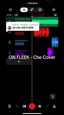 Replying to @_nik00dem_ ON FLEEK CHE COVER #tragetaudience #underground #che #restinbass #rib 
