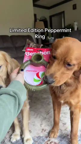 Grab your pup the limited edition peppermint ring from benebone 🐶 