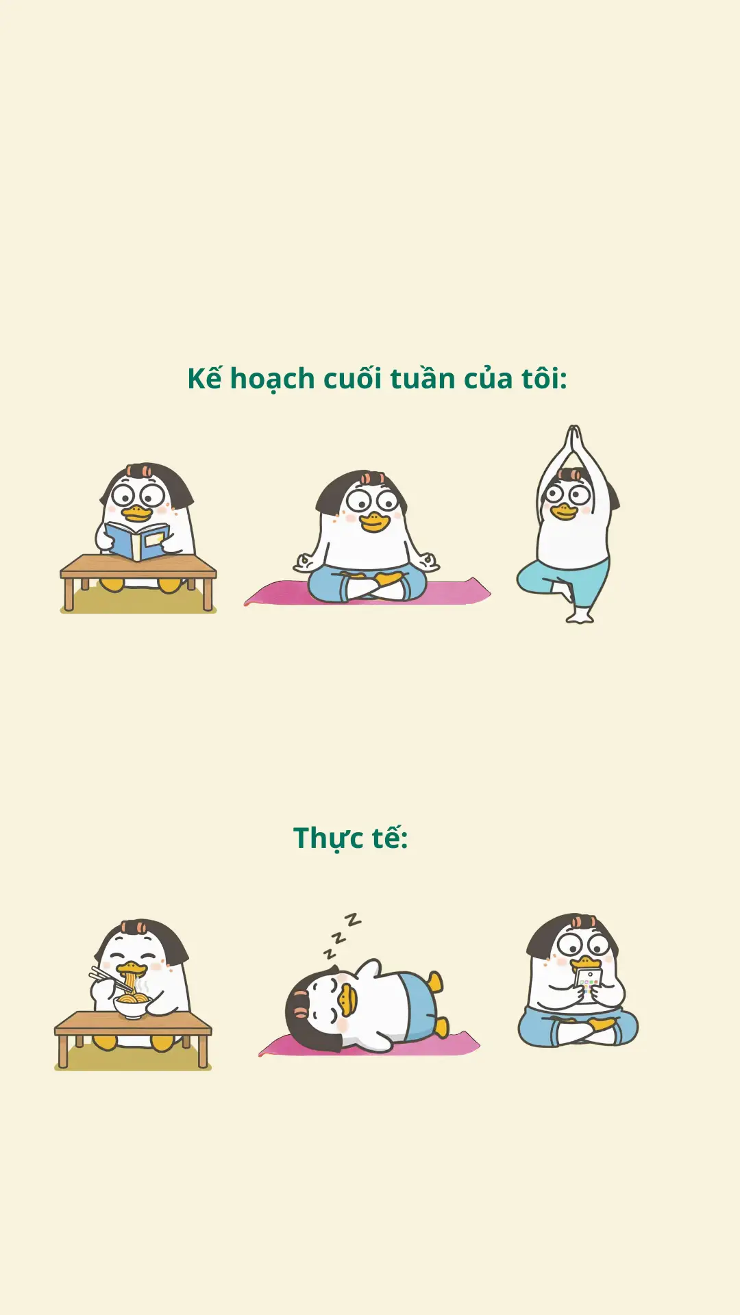 kế hoạch và thực tế 🌝💯