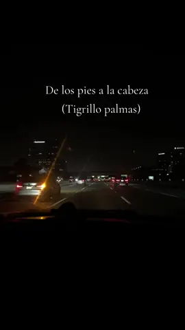 #paratiiiiiiiiiiiiiiiiiiiiiiiiiiiiiii #tigrillopalma😎🦜#delospiesalacabeza#videoviralitiktok #foryou 