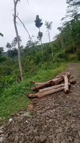 penggalangan dana untuk perbaikan jalan selanjutnya,arah kebun teh lawang kedaton,andungbiru tiris probolinggo@Purbaya Yudhi Sadewa @Khofifah Indar Parawansa @gerindra #jalanrusakparahqndungbirutiris #fypシ 