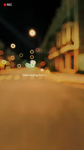 Ta đã đi tìm…tìm điều gì…🍁