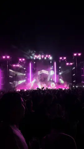 TILLYBIRDS❤️‍🔥#roadtothemountain #tillybirds 