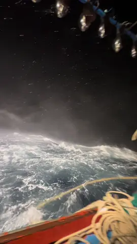 Chỉ có học là sướng nhất🍀❤️#danbien 