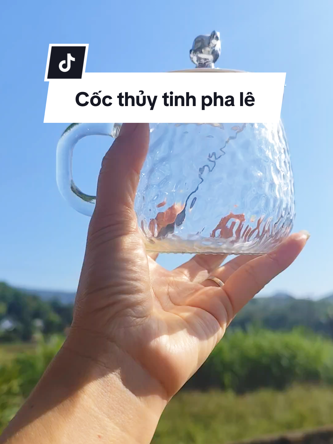 Cốc thủy tinh pha lê có nắp đậy, kèm thìa.Cốc dày dặn #cocthuytinhdecor #cocthuytinhconap #cocthuytinhphale #cocthuytinh #xh 