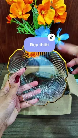 Dĩa nhựa dẻo trong suốt đẹp xuất sắc.