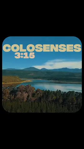 COLOSENSES 3:15#hagamosviralajesus #versiculosbiblicos #biblia #jesus #dios 