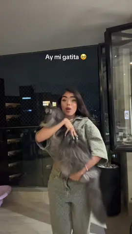 Mi gatita Gigante JAJAJJAA