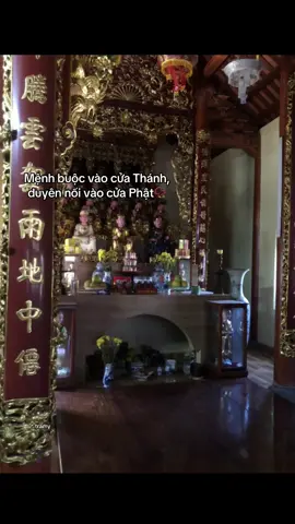 #adidaphat #tuphu #m 