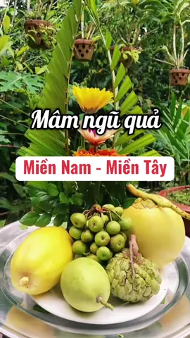 Mâm ngũ quả người Miền Nam - Miền Tây, mọi người tham khảo hoan hỉ ạ ❤️ #mamnguquangaytet #miennam #mientay #mamquamiennam #mamquamientay 