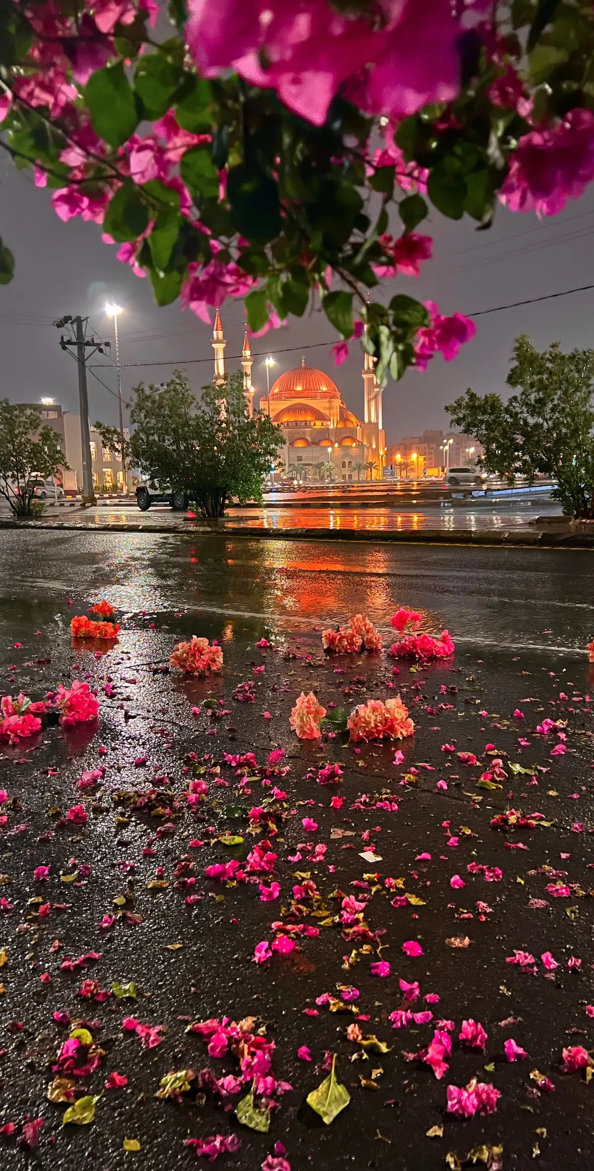 افضل الصور الي صورتها اليوم 