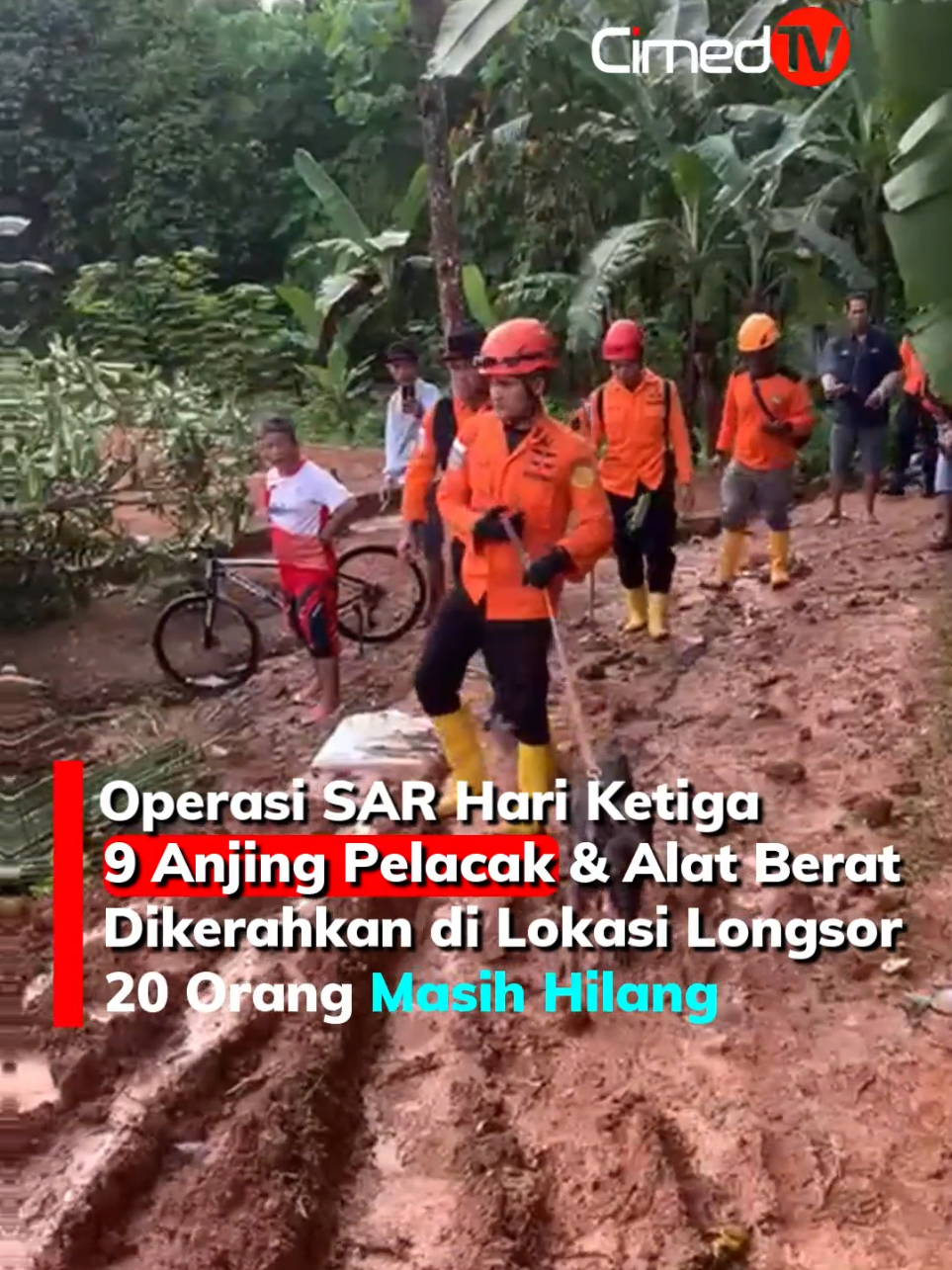 9 anjing pelacak dikerahkan bantu proses pencarian korban longsor Cibeunying, Majenang. #anjingpelacak #cibeunying #longsor #majenang 