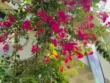 #fupシ #ffffffffffffffffffffffffffffffyyyyyyyyyyyyyyyy #fffffffffffffffffffffffffffffyyyyyyy #foryoupage ##