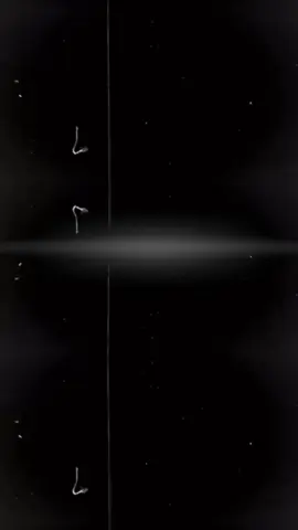 #promoweekend #lewatberandafyp #tiktokviral #AL #editing 🤠👍🏻