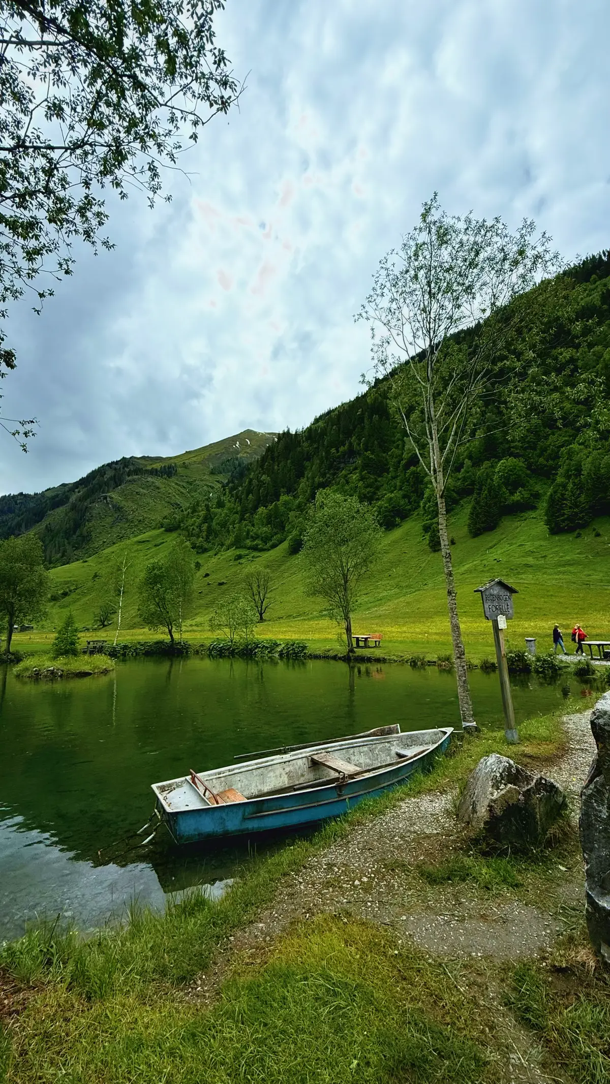 #النمسا #seidlwinklstrabe #بحيرة_صيد_السمك🇦🇹 #سياحة 