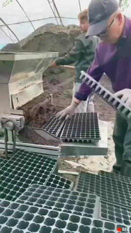 Mahilig ka rin ba mag tanim? Para sa iyoang product a to Sedeingntraya,namnay128holes na. #seedlingtray #seedlings #plants #gardentools #gardening #farming #farmer #seeds #planting #fyp 