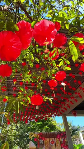 Treo lồng đèn lên tưởng nay 30 tết #longdendotrangtri #longdentrangtritet #trangtritet #decortet 