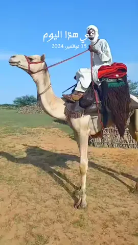 #في هذا اليوم