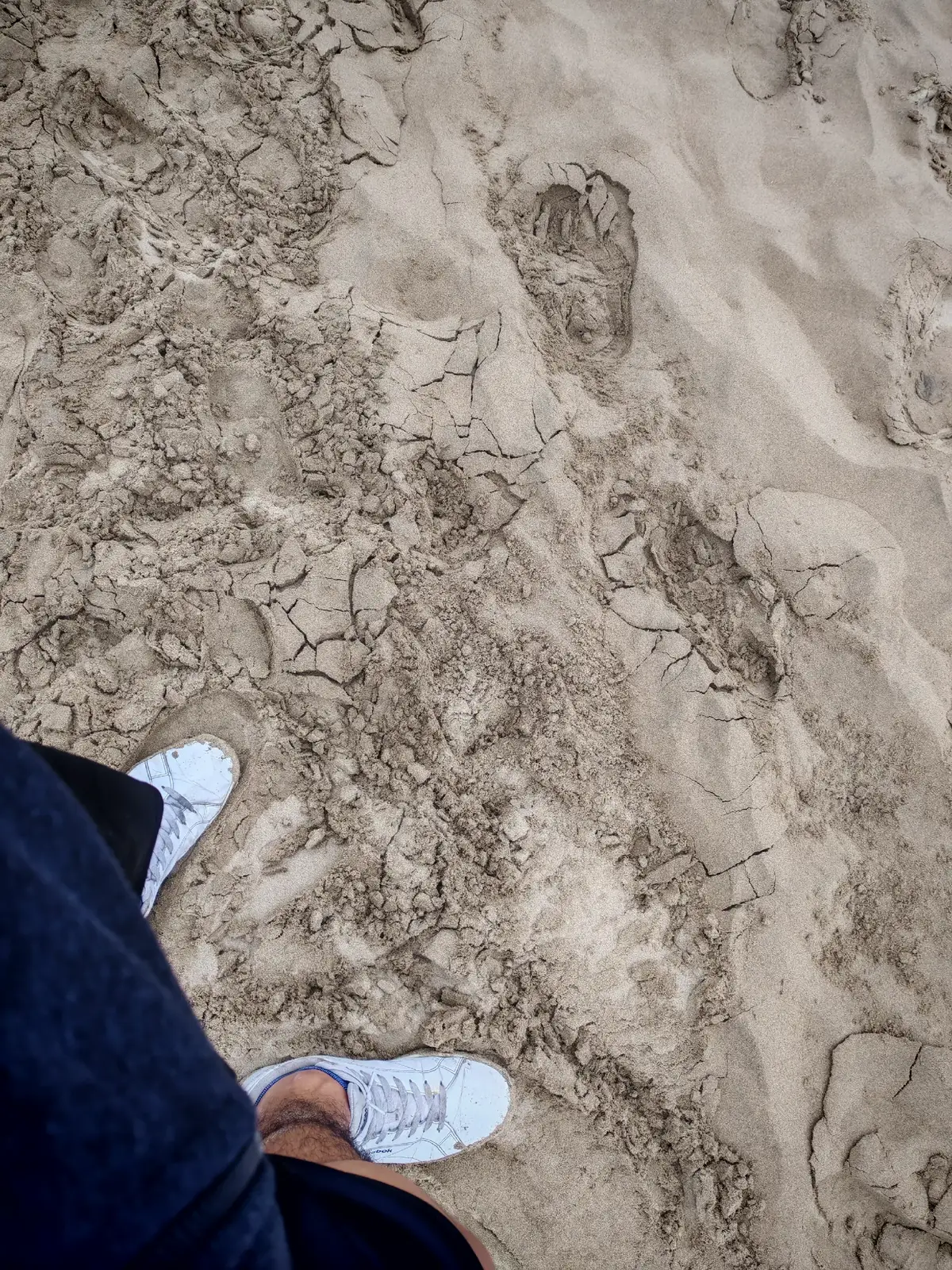 777.      #huacachina #day #eventos #fullday #peru 