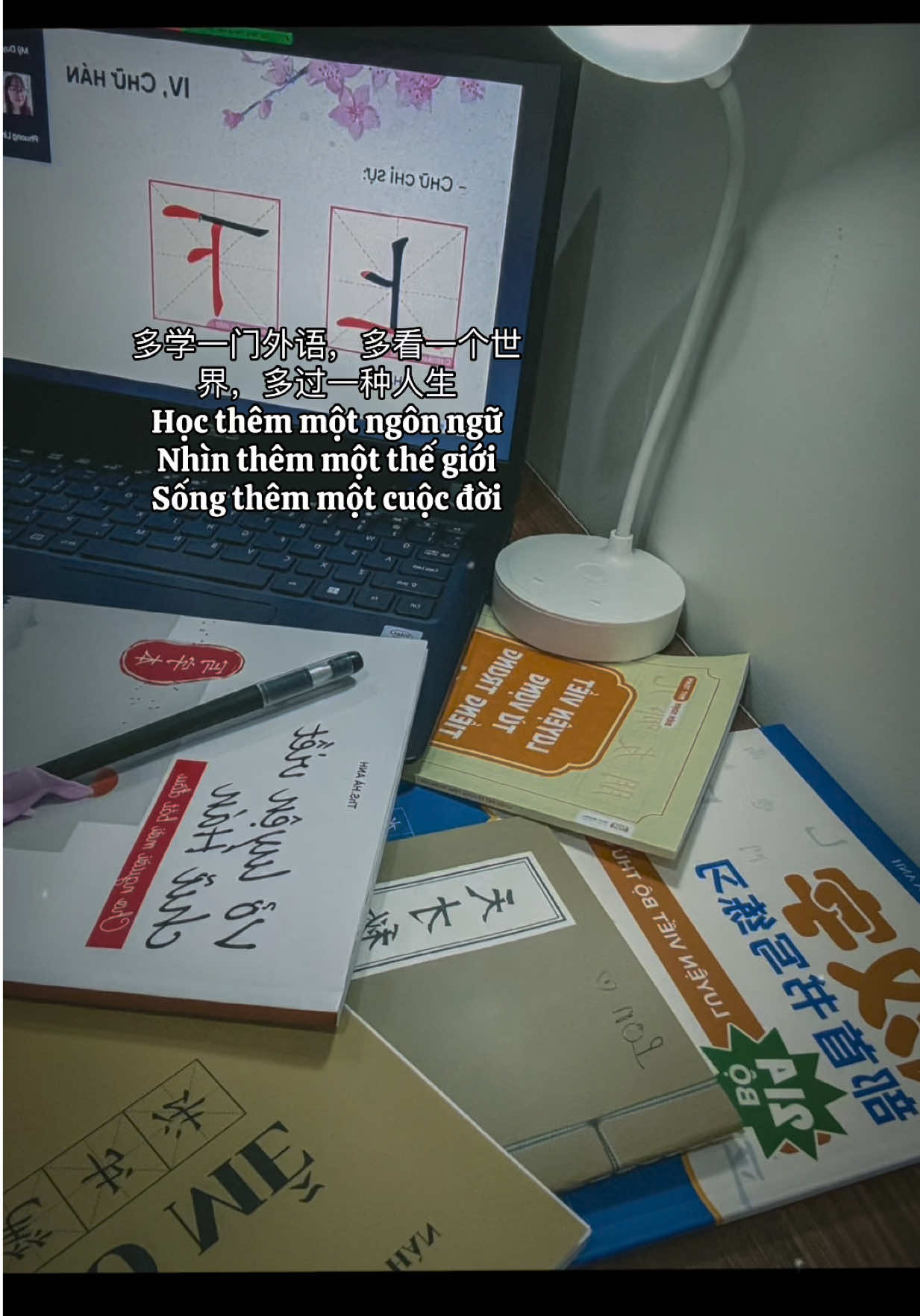 多学一门外语，多看一个世界，多过一种人生 Học thêm một ngôn ngữ, Nhìn thêm một thế giới, Sống  thêm một cuộc đời #hoctiengtrung #tiengtrung 