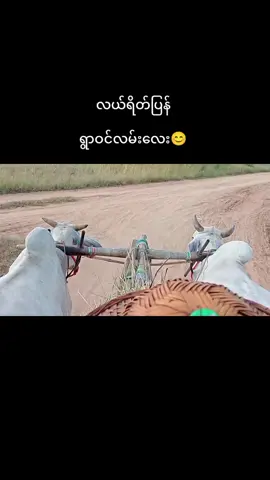 #ရွာဝင်လမ်းလေး #လာလည်ဖို့ဖိတ်ခေါ်ပါတယ်🥰 #fyppppppppppppppppppppppp 